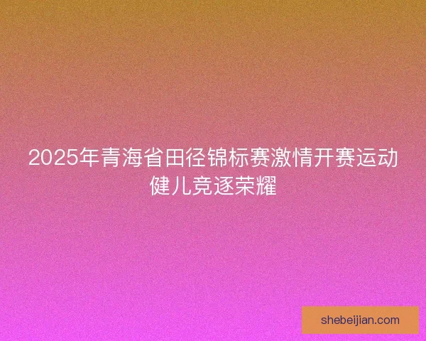 2025年青海省田径锦标赛激情开赛运动健儿竞逐荣耀