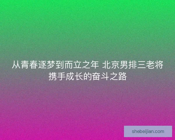 从青春逐梦到而立之年 北京男排三老将携手成长的奋斗之路