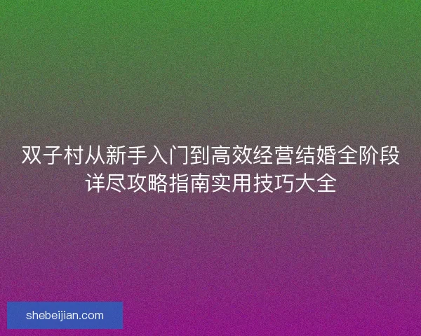 双子村从新手入门到高效经营结婚全阶段详尽攻略指南实用技巧大全