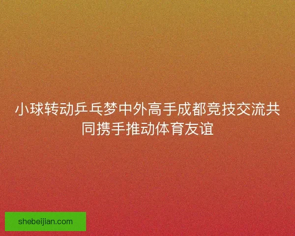 小球转动乒乓梦中外高手成都竞技交流共同携手推动体育友谊